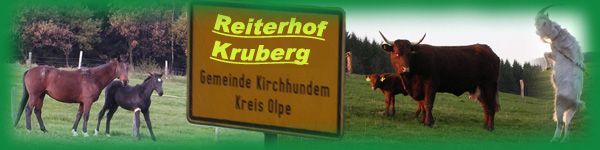 Reiterhof Kruberg
